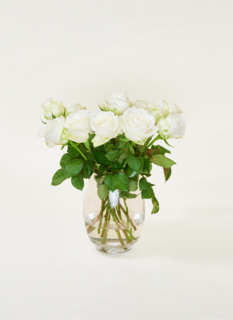 Brievenbusbloemen Rozen Wit