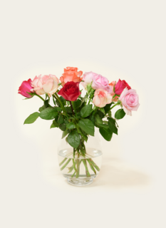 Brievenbusbloemen Rozen Pretty Pink Brievenbusbloemen Rozen Pretty Pink