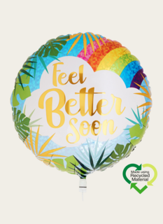 Ballon Beterschap Regenboog Multi Eco