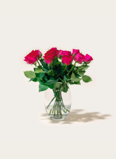 Brievenbusbloemen Rozen Paars Brievenbusbloemen Rozen Paars