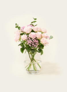 Brievenbusbloemen Ombre Rosa