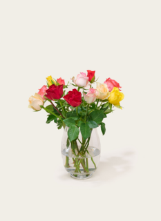 Brievenbusbloemen Rozen Always Good