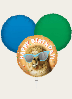 Ballonnentros Happy Birthday Lama Oranje Ballonnentros Happy Birthday Lama Oranje