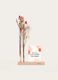Brievenbuspakket Droogbloemen Kaarthouder Flowershot Yule Brievenbuspakket Droogbloemen Kaarthouder Flowershot Yule